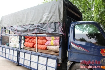 Nghệ An: Bắt giữ 2,5 tấn bắp cải nhập lậu từ Trung Quốc